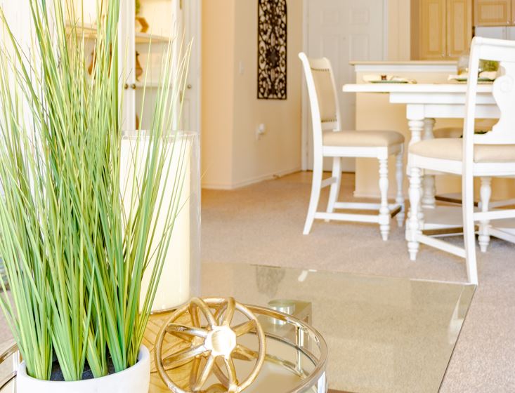 Springfield Apartments in Lubbock, Texas